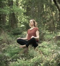 Meditation im Wald